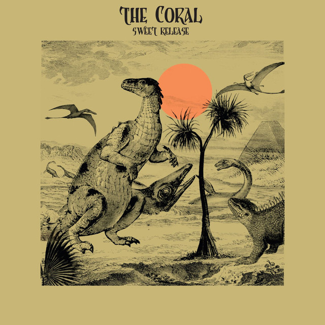 Brèves – The Coral, James, Echo & The Bunnymen