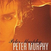 peter murphy five albums