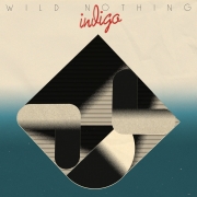 wild-nothing-indigo_final