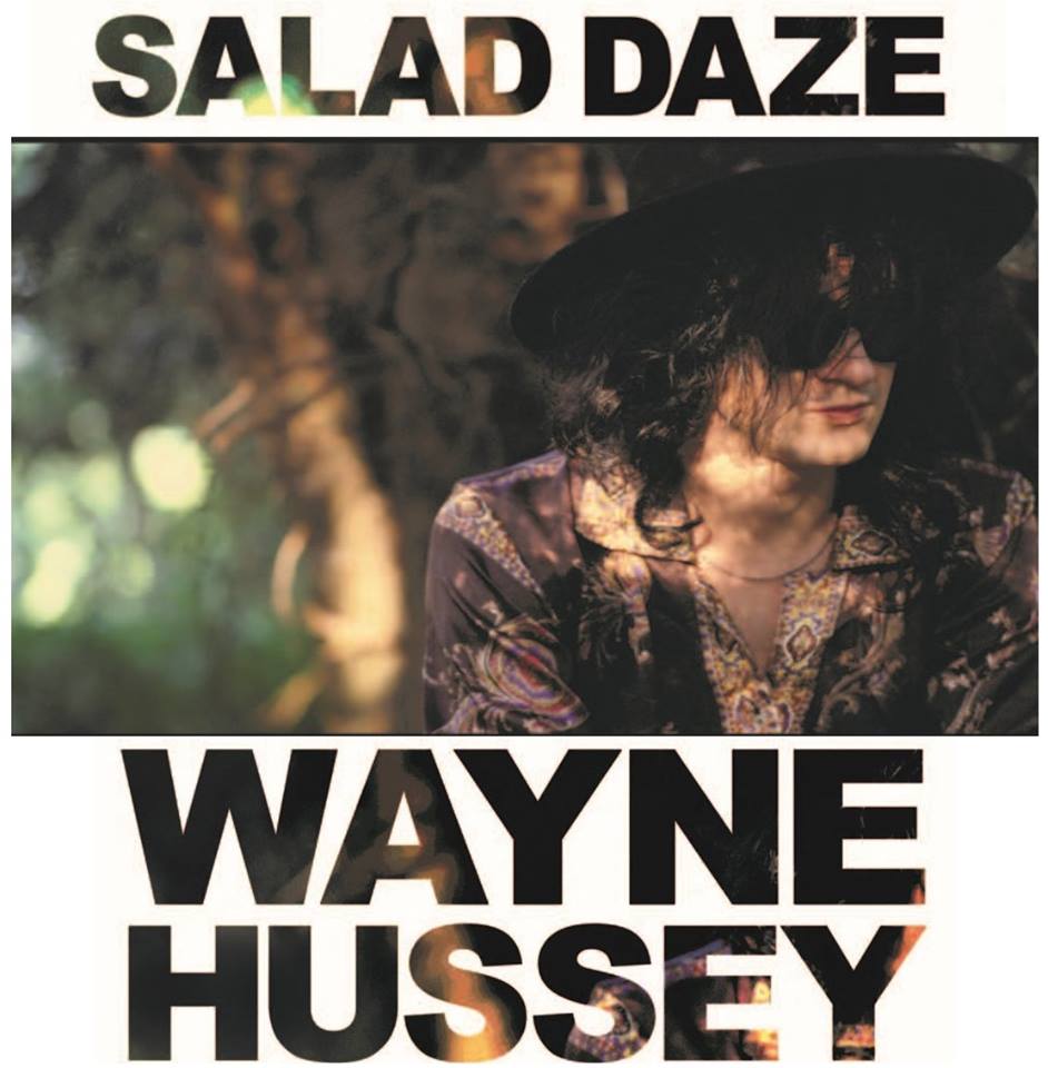News – Wayne Hussey – Salad Daze – Autobiographie