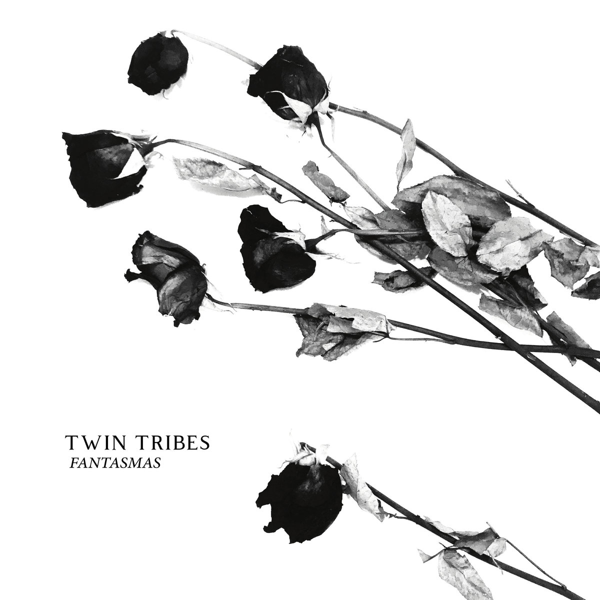 Post-punk shivers -Twin Tribes – Ceremony