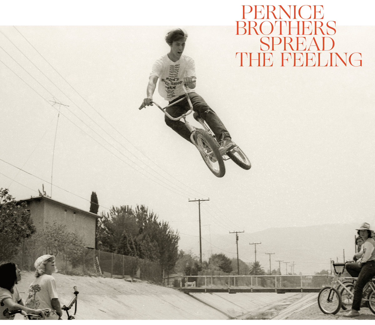 News – Pernice Brothers – Spread The Feeling