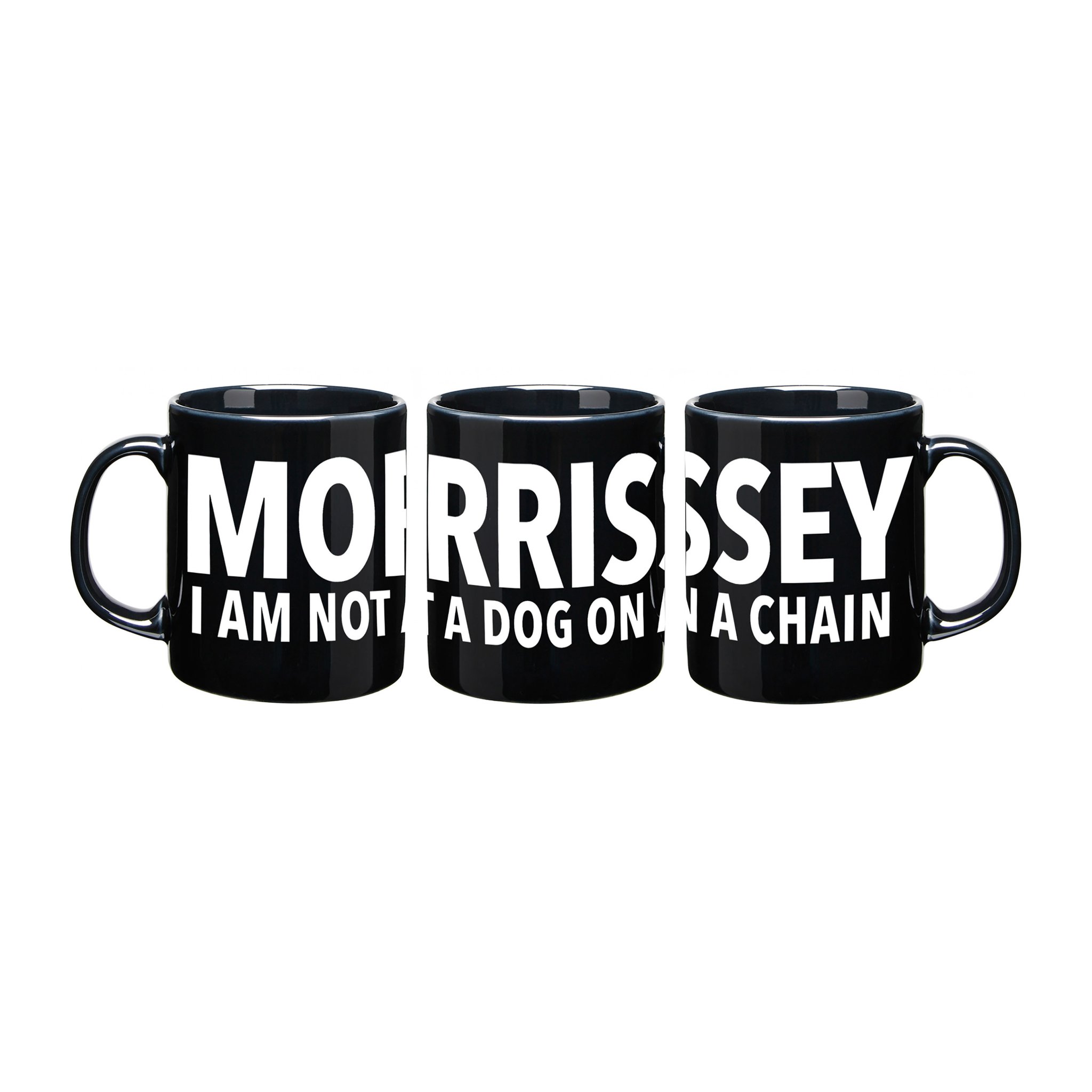 News – Morrissey – Knockabout World