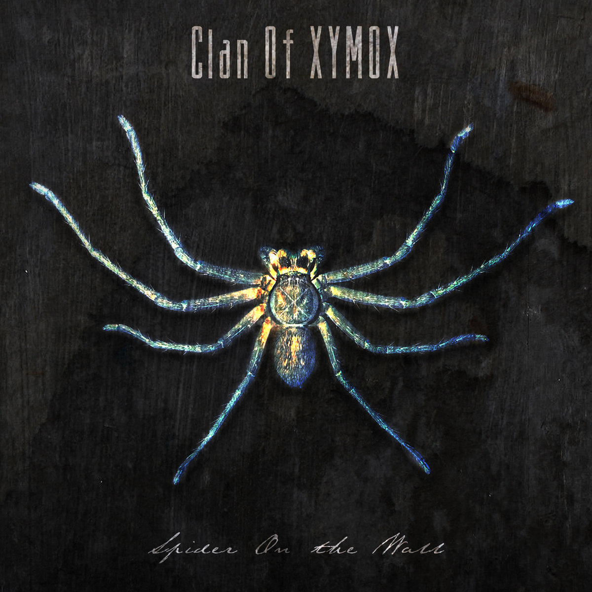 News – Clan of Xymox – Spider On The Wall