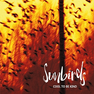 News – Sunbirds – Cool To Be Kind