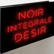 Noir-Desir-coffret-integrale-CD-edition-2020