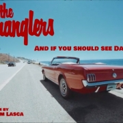 the-stranglers