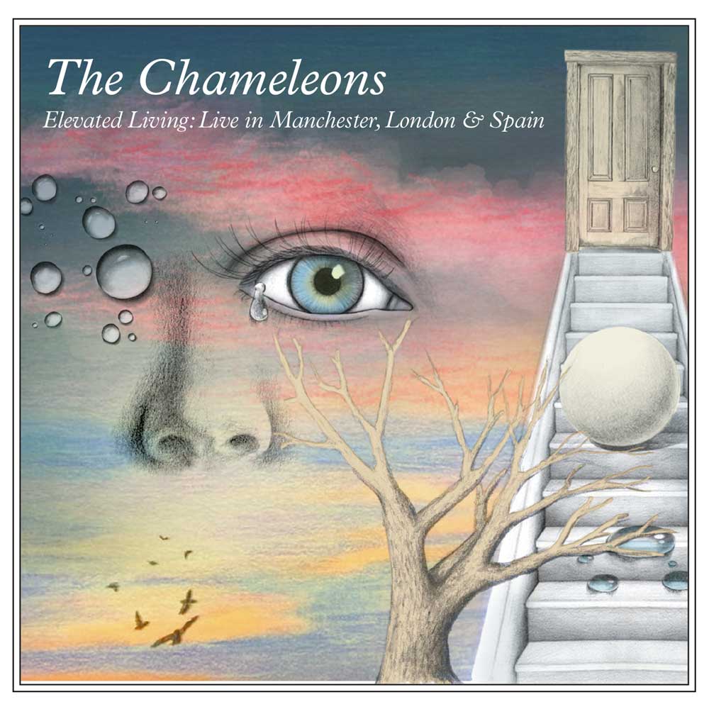 News – The Chameleons – Elevated Living: Live In Manchester, London And Spain