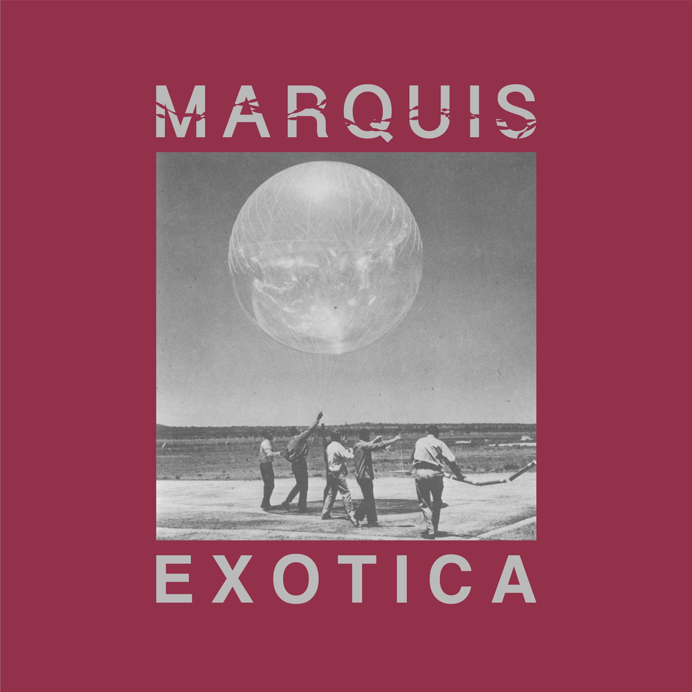 News – Marquis – Exotica