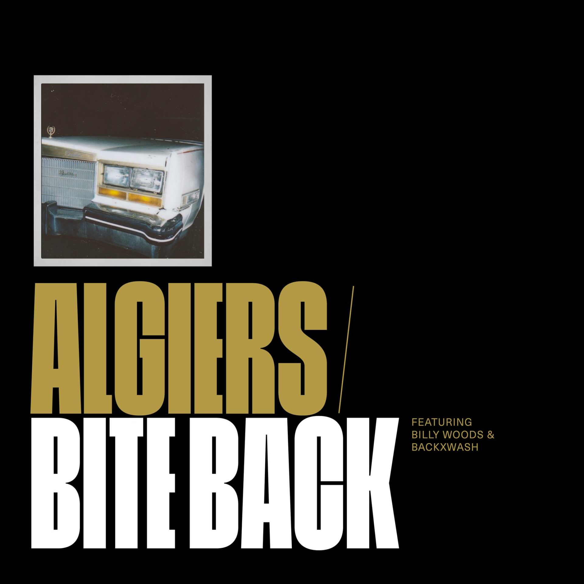 News – Algiers – Bite Back (feat. billy woods & Backxwash)