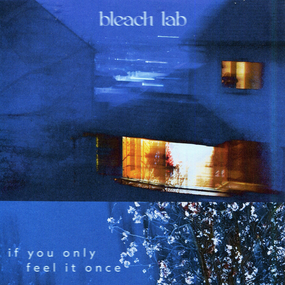 Listen Up – Bleach Lab – If You Only Feel It Once