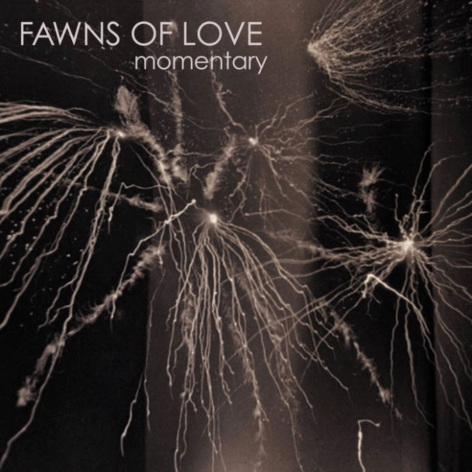 Listen Up – Fawns of Love – Momentary EP
