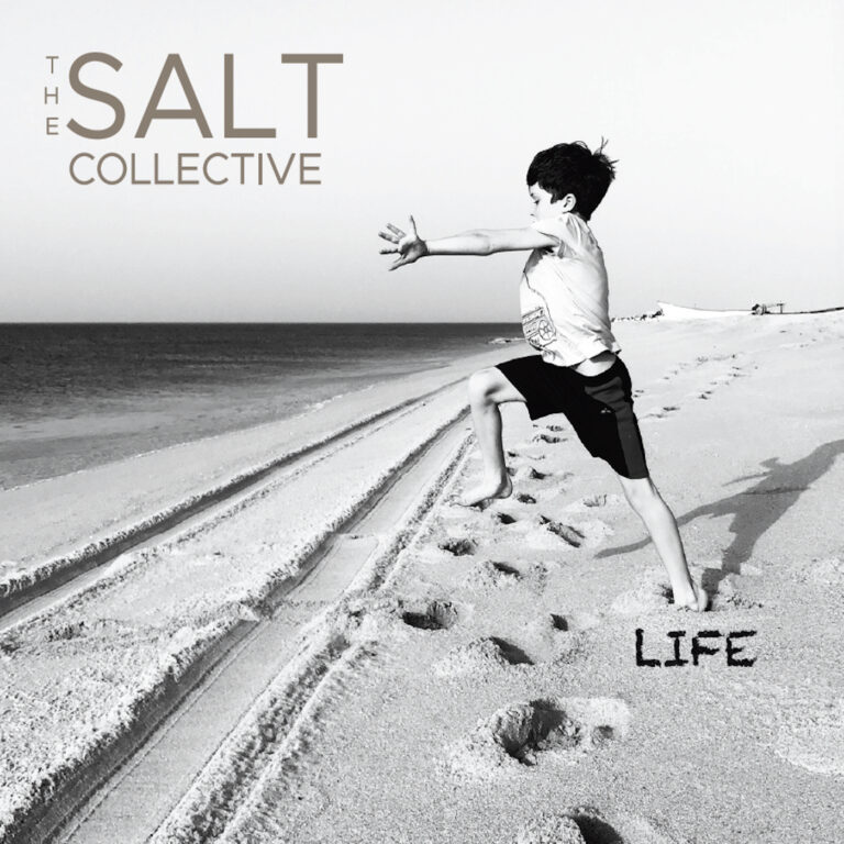 News – The Salt Collective – Asylum (featuring Matthew Caws & Juliana Hatfield)