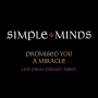 Simple-Minds