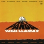 The_High_Llamas_Hey_Panda_album_cover_artwork