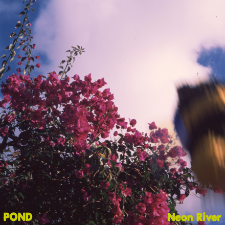 News – Pond – Neon River
