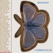 COMMON-BLUE_COVER-DSPs-1707781258-1000x1000
