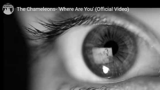 Single of the week – Chameleons – Where Are You ?