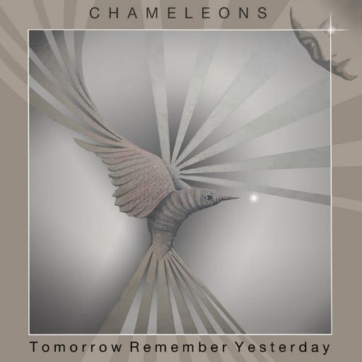 Post-punk shivers – The Chameleons – Tomorrow Remember Yesterday