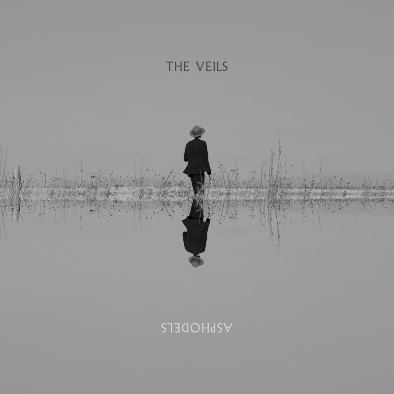 News – The Veils – Asphodels