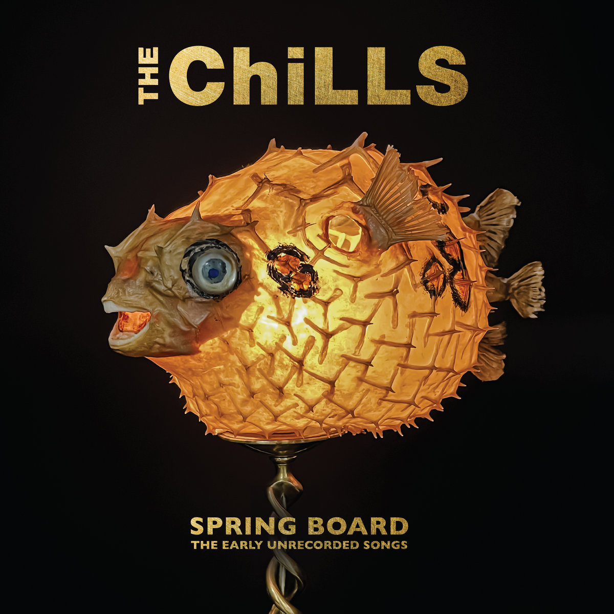 News – The Chills – Spring Board : The Early Unrecorded Songs