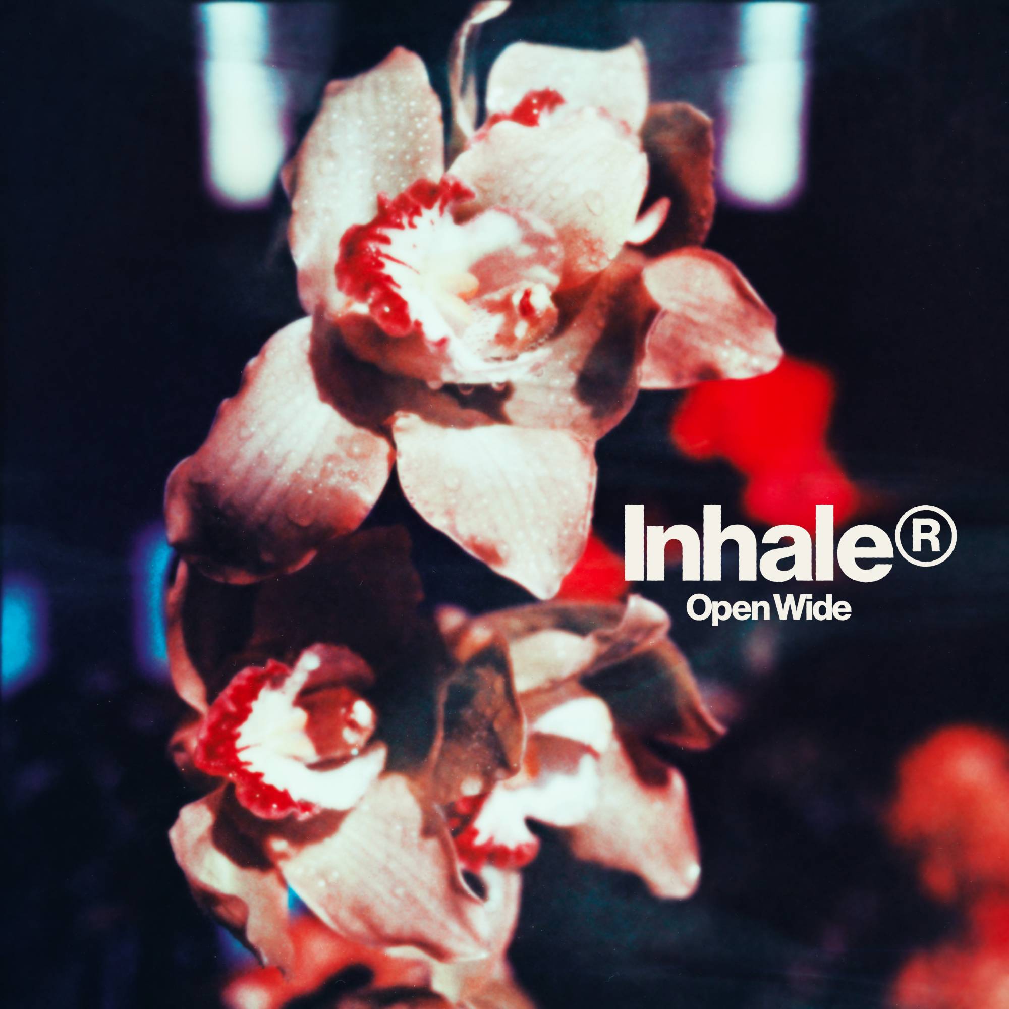 News – Inhaler – Open Wide (video)