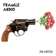 Fragile audio - 38 Snub single cover