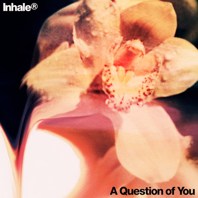 News – Inhaler – A Question of You