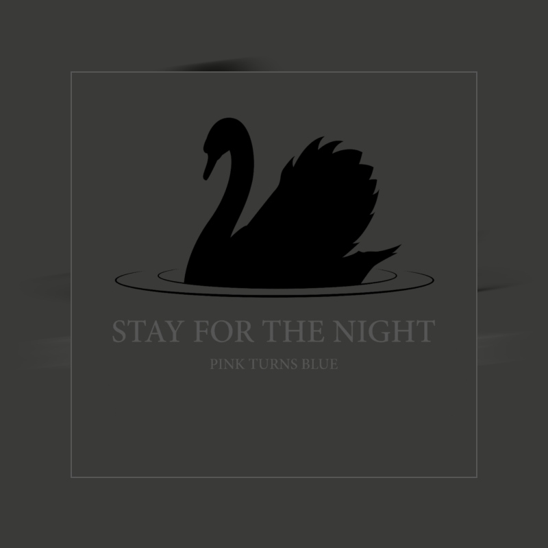 Post-punk shivers – Pink Turns Blue – Stay for the Night