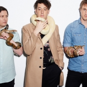 the-wombats