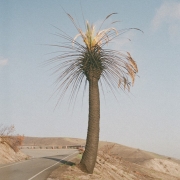 Capture d’écran 2025-02-04 224651