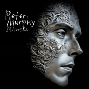 Peter-Murphy-Silver-Shade