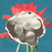 Capture d’écran 2025-09-26 221314