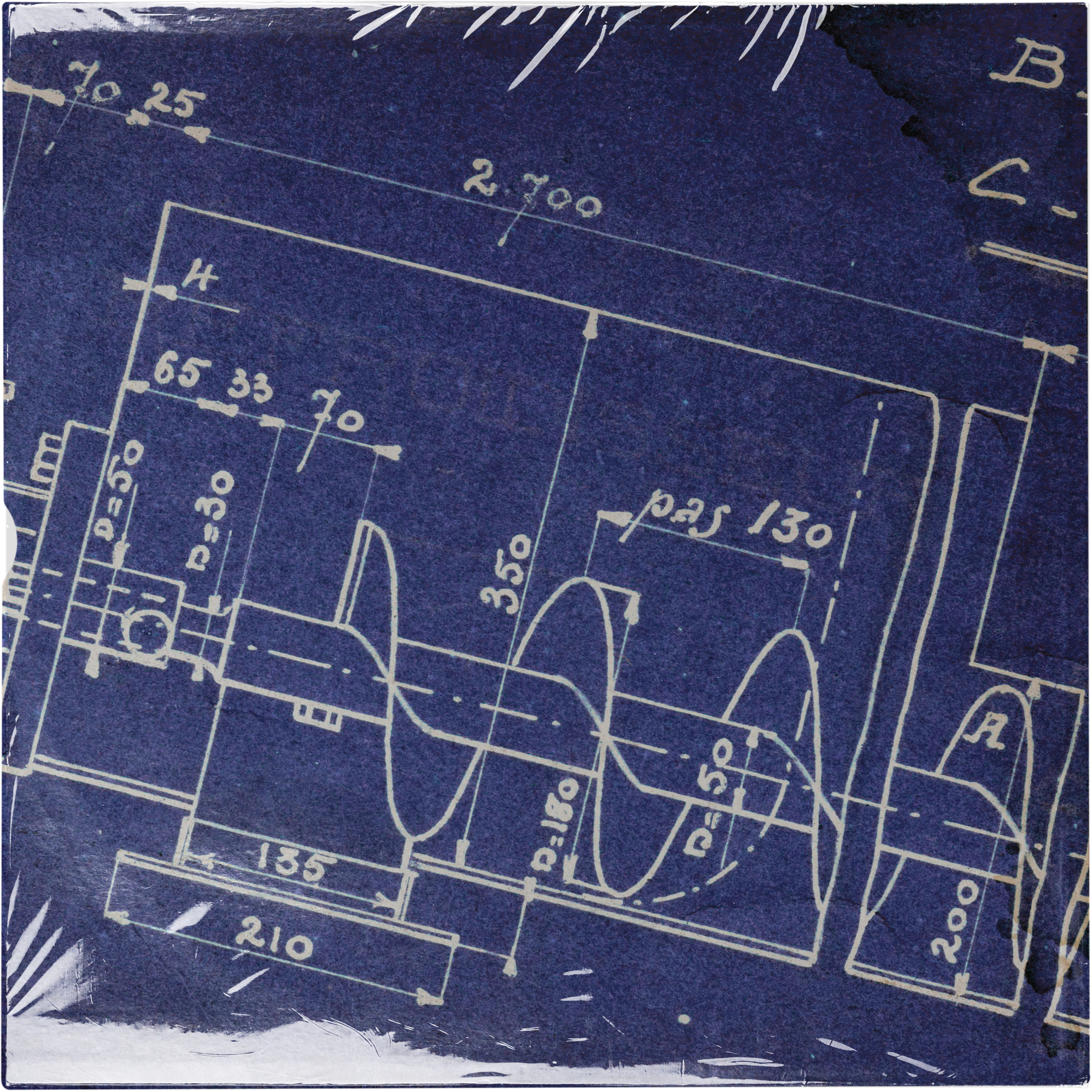 Froggies But Chic – Secret Girls – Witch Level 1