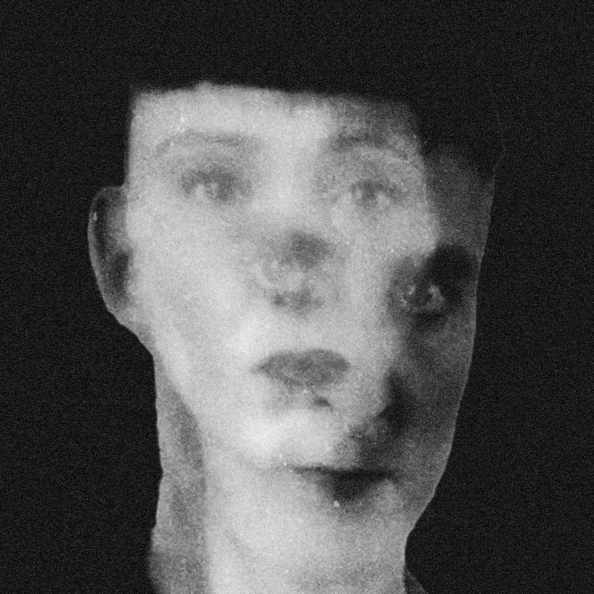 Froggies But Chic – Potochkine – Sang d’Encre