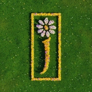 Capture d’écran 2025-10-06 220821