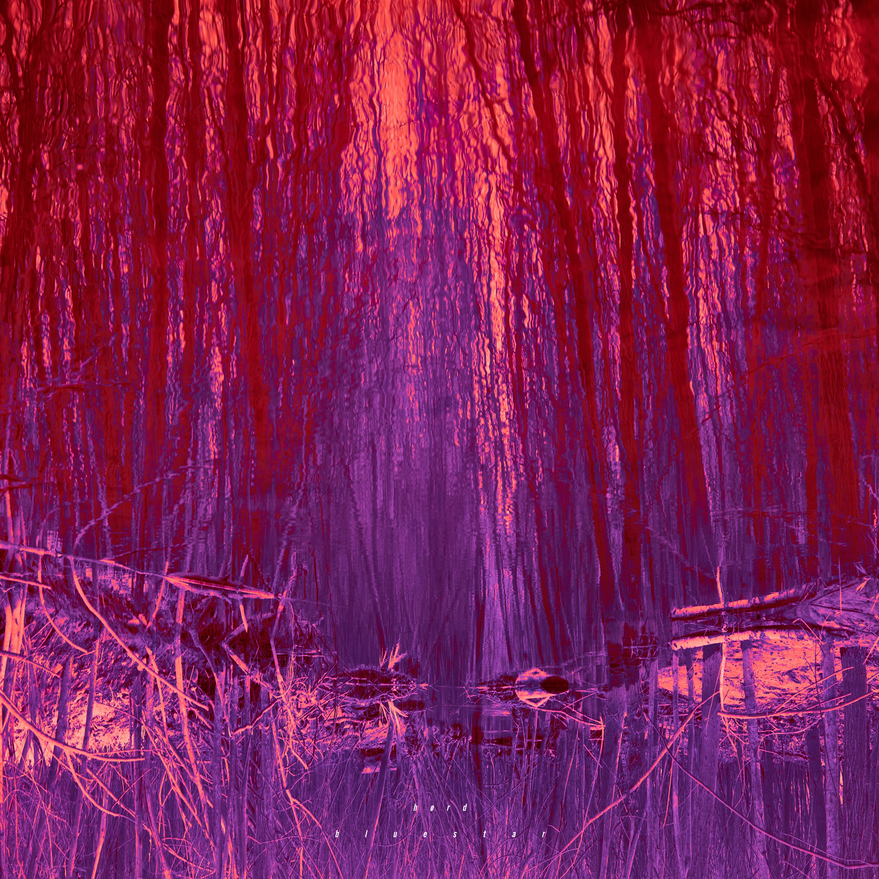 Froggies But Chic – Hørd – Bluestar