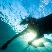 Capture d’écran 2025-11-20 220147