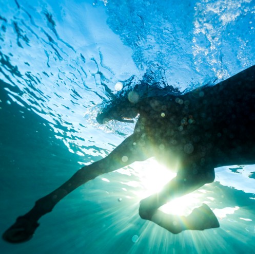 News – Dream Nails – You Wish