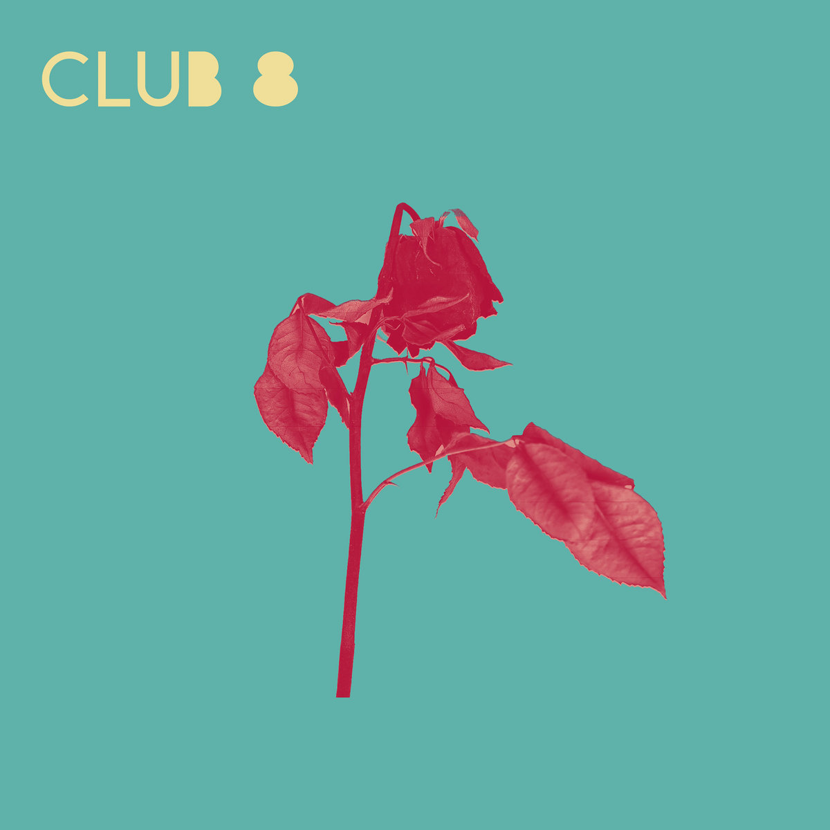 Listen Up – Club 8 – Seasonal Echoes