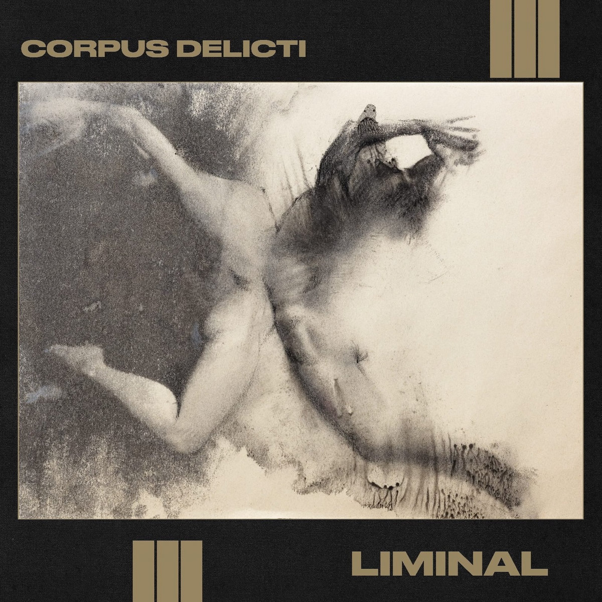 Froggies But Chic – Corpus Delicti – Liminal 