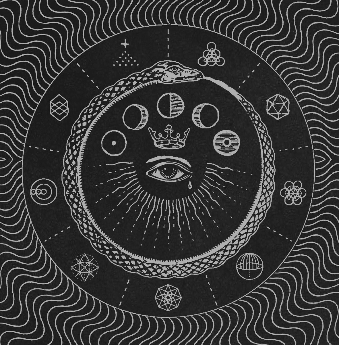 Playlist découvertes – La griffe du Félin # 82