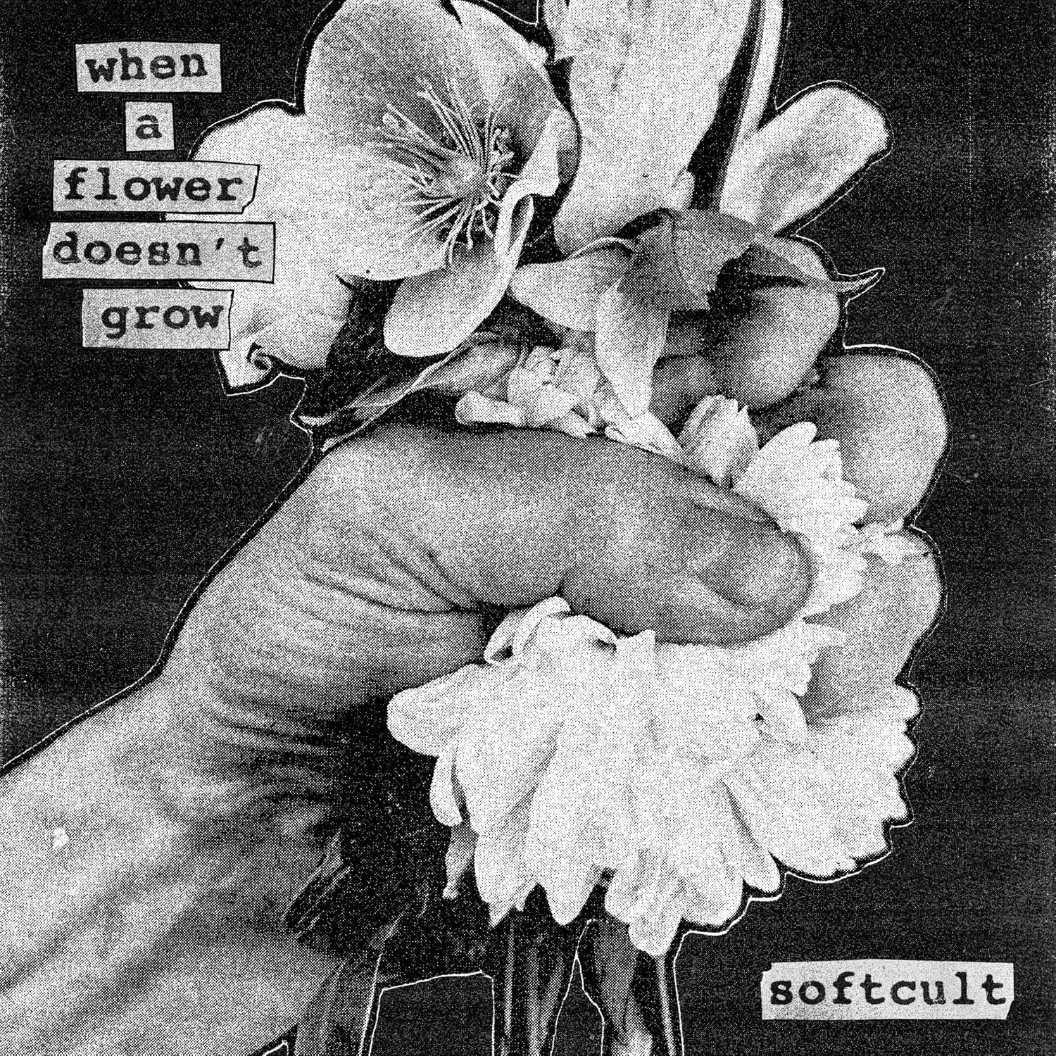 News – Softcult – When A Flower Doesn’t Grow
