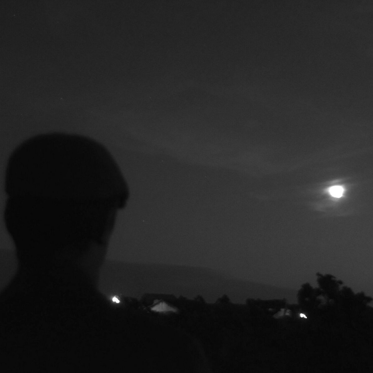 Froggies But Chic – Lunar Lock – Stay Low For A Reason