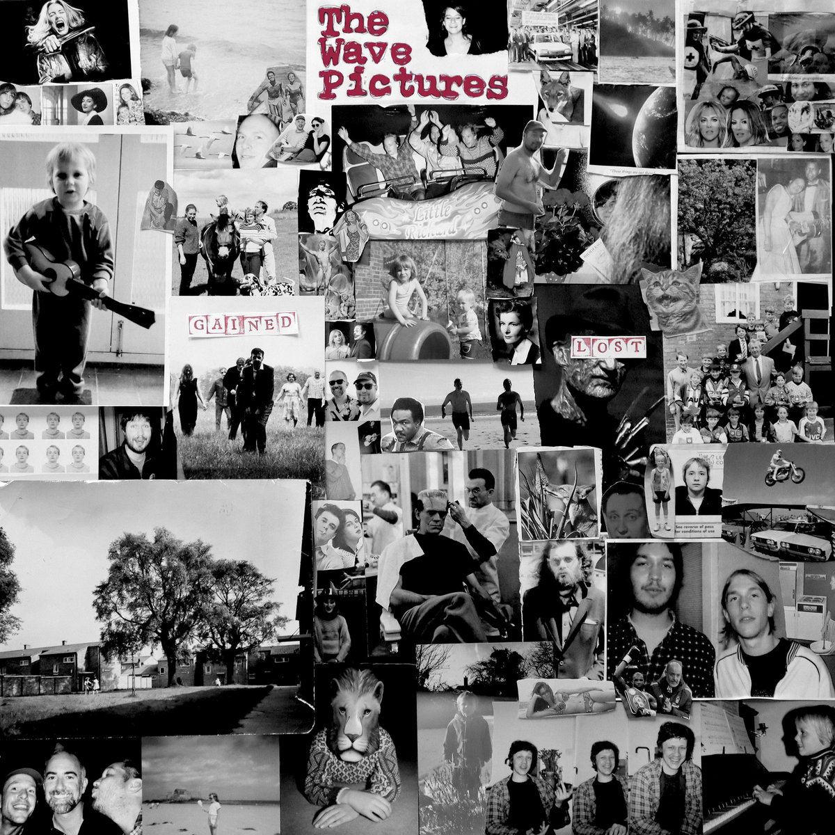 News – The Wave Pictures – Gained / Lost