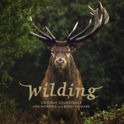 Capture d’écran 2026-01-16 233822