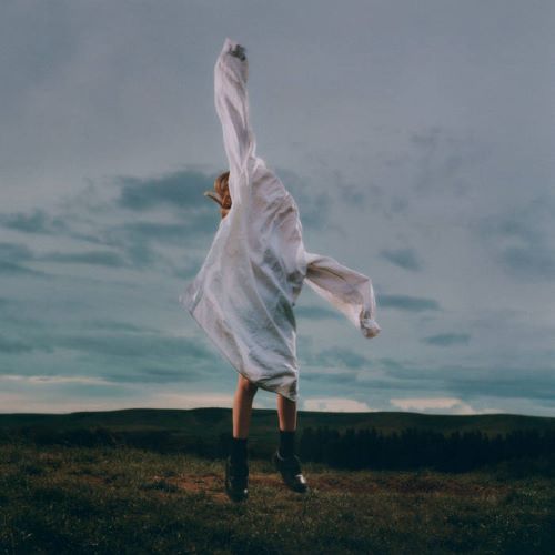 News – deary – Birding