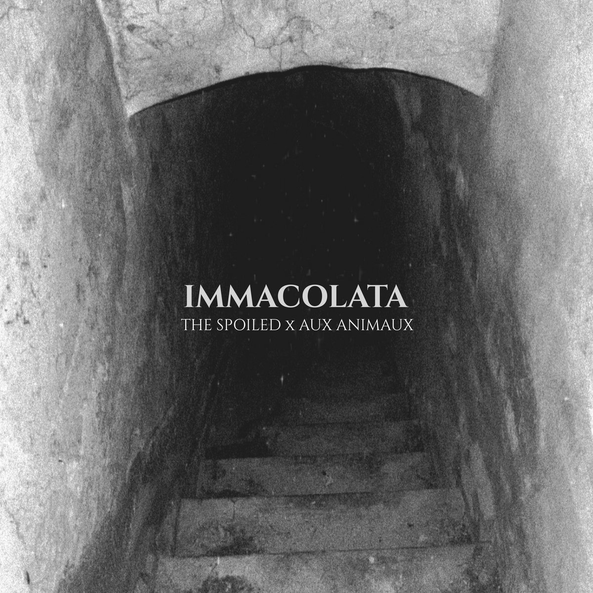 News – The Spoiled – Immacolata (feat. Aux Animaux)